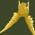 Little Weaver Web Collective