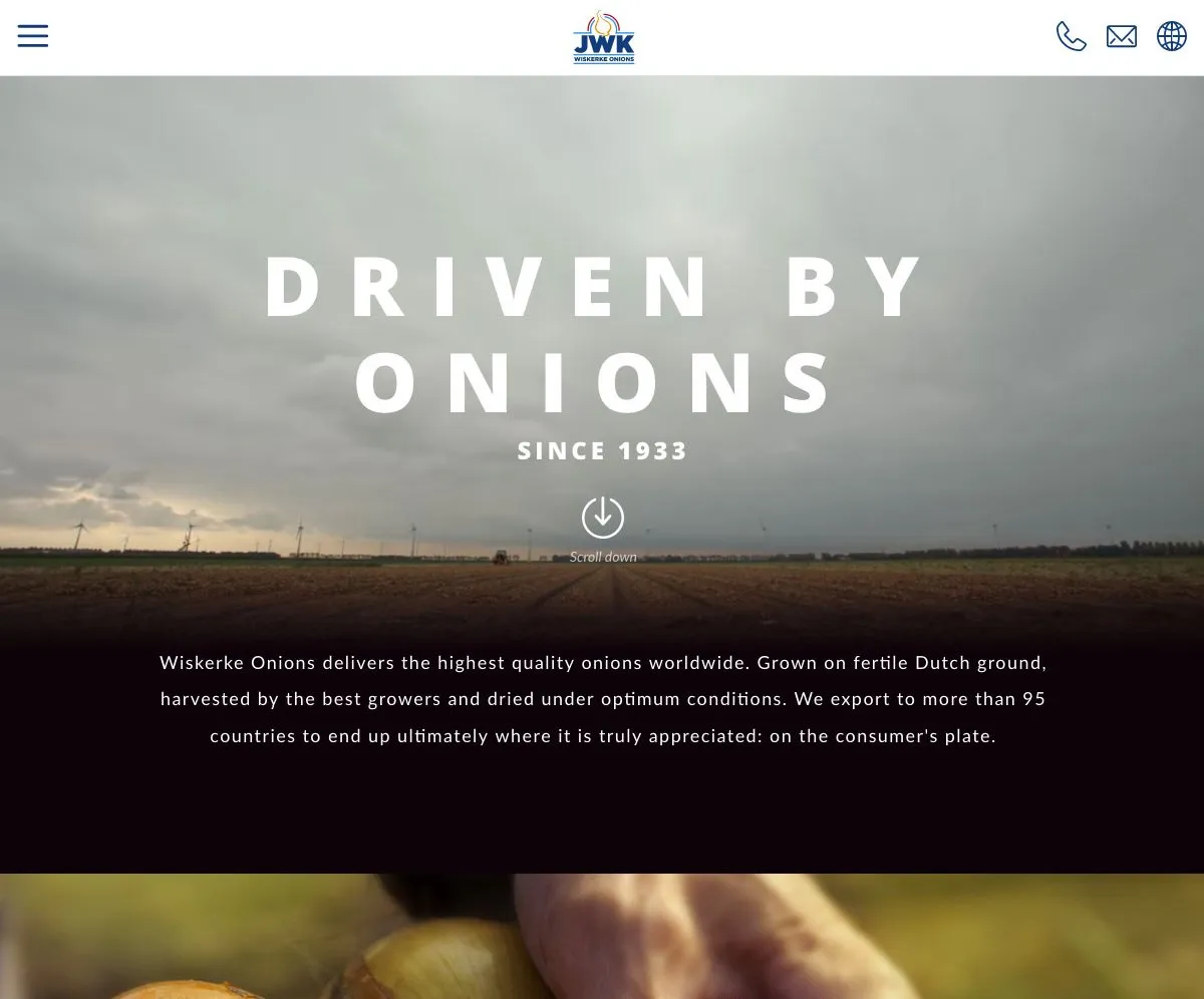 Wiskerke Onions