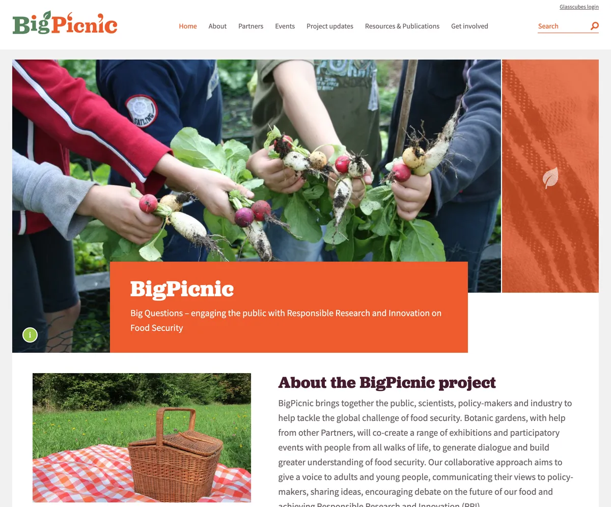 Big Picnic